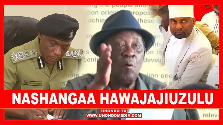 "IGP, WAZIRI MASAUNI, MKURUGENZI WA USALAMA WA TAIFA KWANINI HAWAJAJIUZULU?" MZEE BUTIKU
