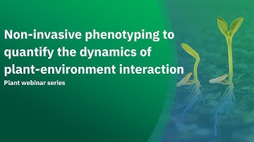Non invasive phenotyping to quantify the dynamics of plant environment interaction