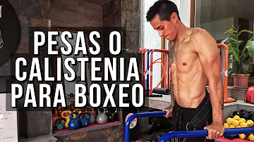 ¿Por qué los boxeadores no levantan pesas?