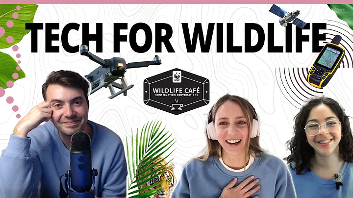 What is the role of technology in wildlife conservation? Tools, techniques, and a new frontier. thumbnail