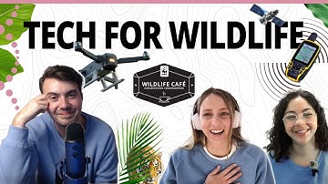 What is the role of technology in wildlife conservation? Tools, techniques, and a new frontier.