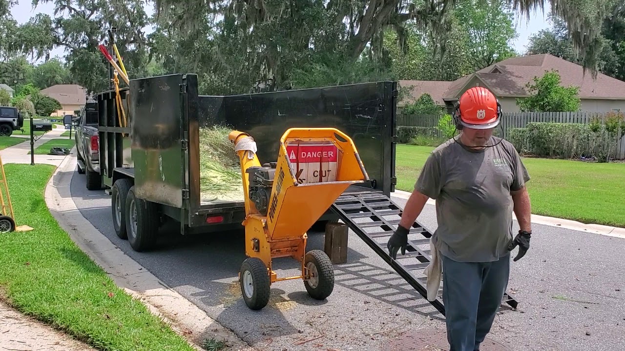 Chipping Canary Palm Frons