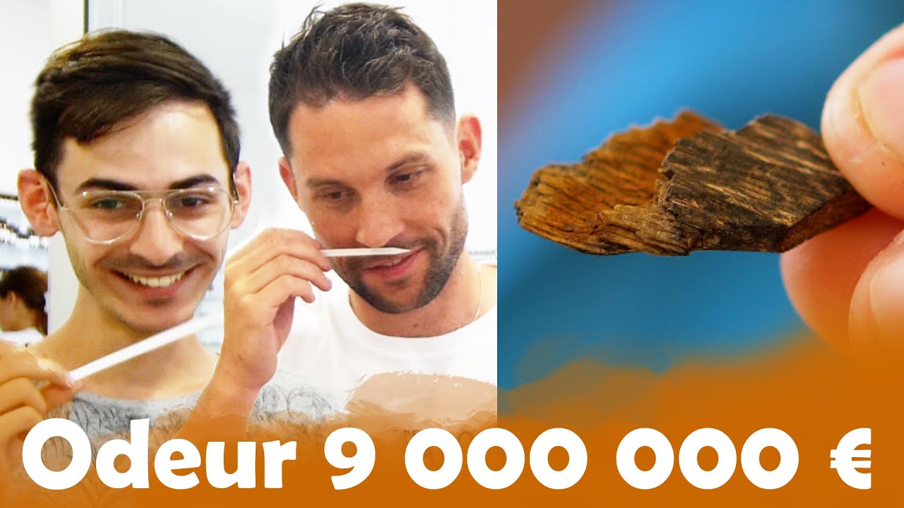 Odeur à 10€ VS 100 000€ avec HUGO PRESSE !