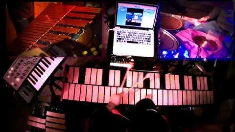 "BrundleFly" | Xylosynth/Vibraphone | Steve Shapiro