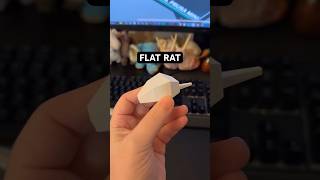 The Power Of 3D Printing A Rat Art