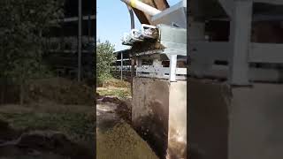 The Dewatering Machine for Cow Manure Disposal | 10 t/h Capacity | Manure Management