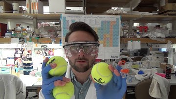 Neuron Video Abstract Outtakes