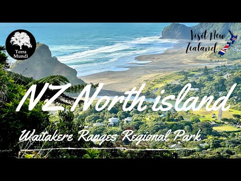 Waitakere Ranges: Piha - Kitekite Falls | Roadtrip North Island New Zealand | Cinematic drone video