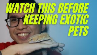 Watch This, Before Keeping Exotic Pets! by Redd 77 views 3 years ago 15 minutes