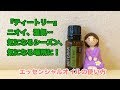 ニオイ、湿気…気になるシーズン、気になる場所に：エッセンシャルオイルの使い方『ティートリー』（ティーツリー）