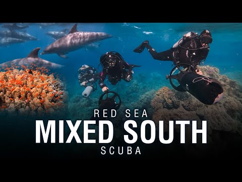 RED SEA 2022 | Mix South Trip Scuba Diving Liveaboard in Egypt