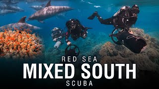 RED SEA 2022 | Mix South Trip Scuba Diving Liveaboard in Egypt
