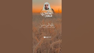 سورة الأحزاب #سعد_الغامدي #قران #قران_كريم #quran  #islam حالة واتس اب قران كريم Quran Status