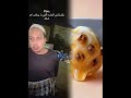 الشعب الصيني ماله حل الهشتاقات للشيوخ Fyp اكسبلور فوريو Viral Trending Viralvideo 