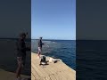 Рыбалка в Египте! Fishing in Egypt 🎣