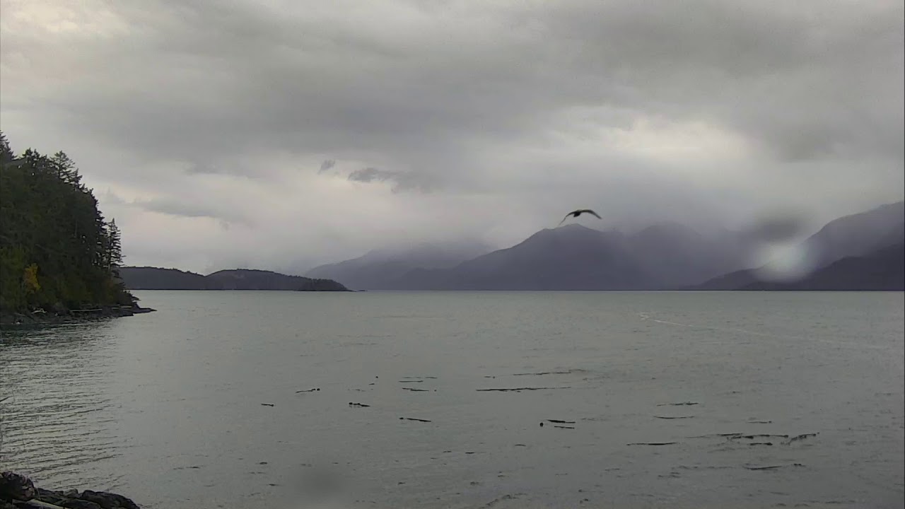 Cracroft Point Orca Lookout 11-02-2018 