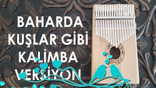 Baharda Kuşlar Gibi Geldin Kondun Dalıma- Kalimba Versiyon...nota Altyazida-Türkçe Altyazıyı Açın