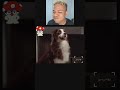 Kevin SooExtra! Try Not To Laugh Challenges #funny 💯🤣 Funny TikTok Kevin SooExtra! REACTIONS