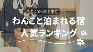 わんこと泊まれる宿人気ランキング~2024年上半期予約数~#宿泊 #楽天トラベル #犬