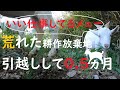 あれ？雑草はどこに消えた！？雑草食べ放題だメェー！人が入れなかった荒れ放題の荒れ地へヤギ除草隊を派遣して半月が経過しました