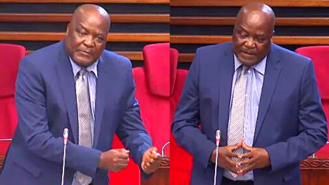 MBUNGE KISHIMBA AWAVUNJA MBAVU WABUNGE KAMA KAWAIDA YAKE - 