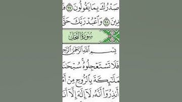 ما تيسر من سورة النحل