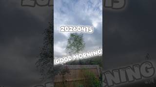 Good morning, guys ⏰️🥱🌤😁
