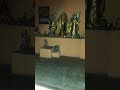 प्राचीन राम दरबार लाइव दर्शन आरती#artist #livestream #live #matarani #ram #krishna #hanumanji #radha
