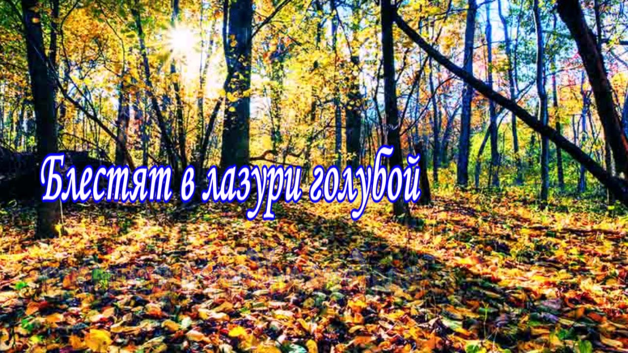 Бунин листопад видео. Бунин листопад видео. Иван бунин листопад стихотворение. Бунин листопад видео. Бунин листопад видео.