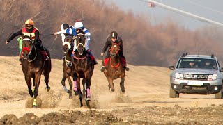 Curse de cai 1800 m de la Smârdan, Tulcea 2022