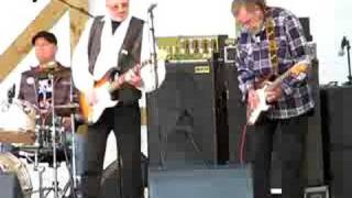 Video thumbnail of "The Spotnicks- Johnny Guitar"