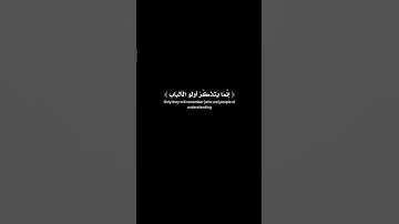 #ماهر_المعيقلي قرآن كريم/راحة نفسية#قرآن #اللهم_صل_وسلم_على_نبينا_محمد
