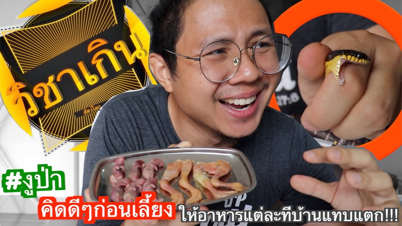 วิชาเกินสัตว์โลก [Petreview] ep.16 อิรุงตุงนังวันให้อาหารงูน้อย #ให้อาหารงู