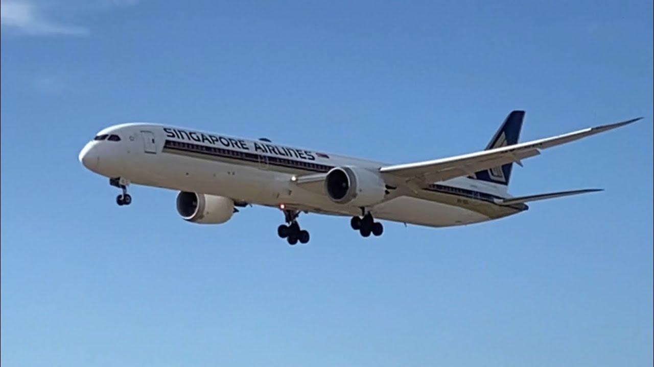 Late afternoon landings in Adelaide