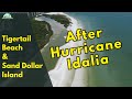How did Marco Island's North End handle Hurricane Idalia?