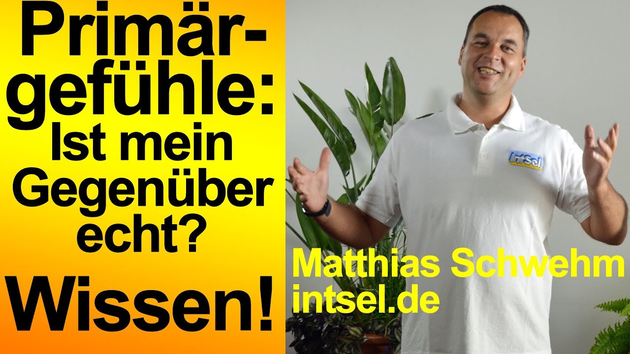 Primärgefühle oder: „Ist mein Gegenüber echt?" (Zugangshinweise Primäremotionen Gefühlskategorien) episode artwork