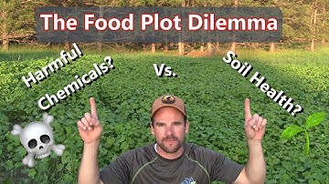 Voedselpercelen zonder bewerking versus zonder sproeien