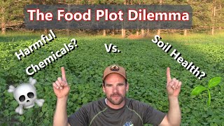 No Till vs. No Spray Food Plots