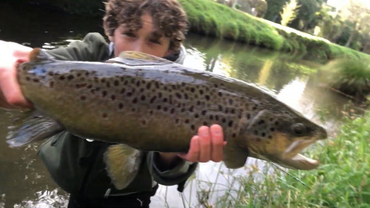 Catching GIANT Trout in the Central City YouTube