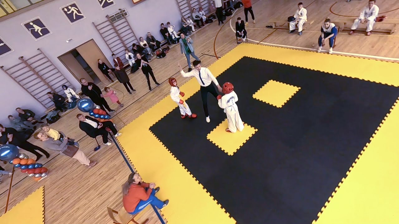 ��������� ������� Lyka Labs �������-����������: ����.