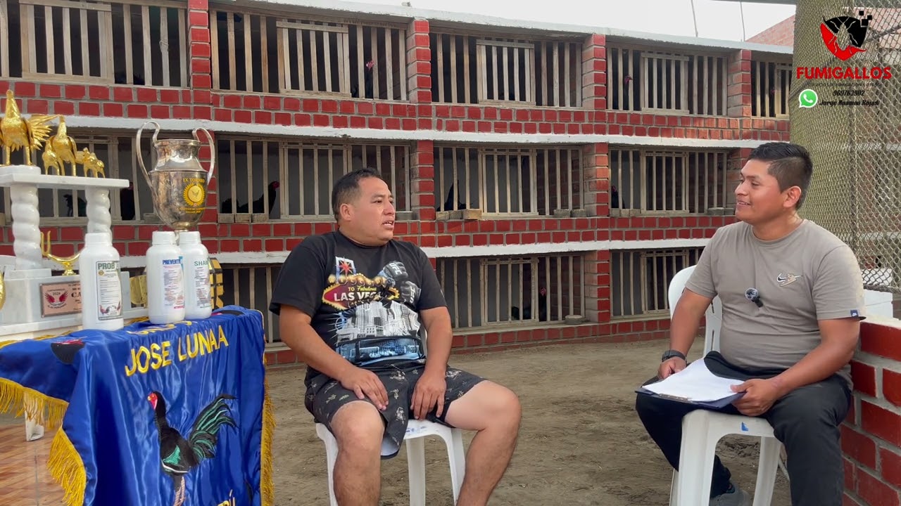 Entrevista al Sr. José Luna de Chancay - Huaral Criador del Gallo Navajero Peruano.