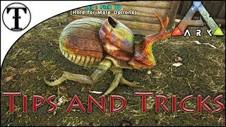 Fast Dung Beetle Taming Guide :: ARK : Survival Evolved Tips and Tricks