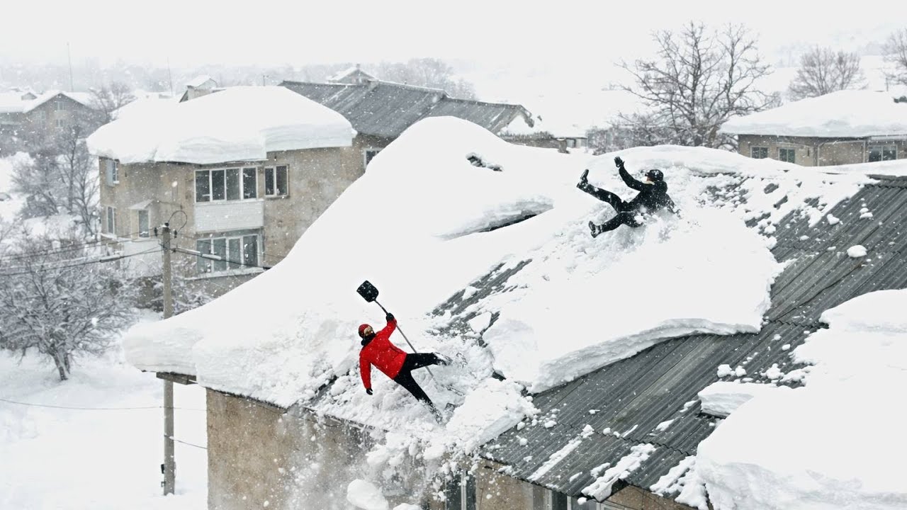 Insane Firewood Processors at Work | Raw Power, Precision, and Real Risk