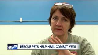 WNY group is healing war vets with rescue pets