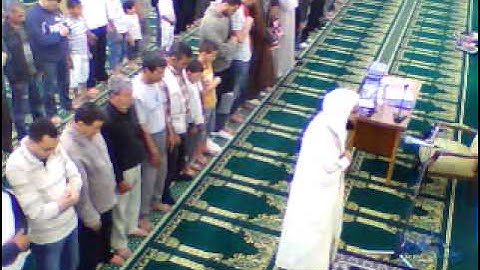 القارئ وليد مصباح.