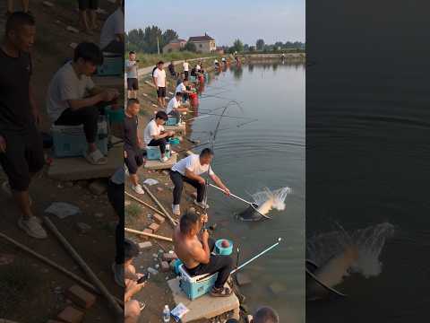#fishing #carp #钓鱼 #carpfishing #撈底 #bassfishing #户外钓鱼 #fish  #fish thumbnail