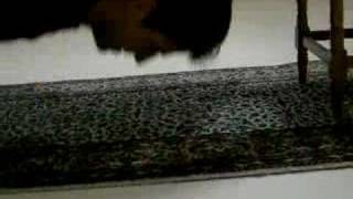 Şınav Nasıl Çekilir ?