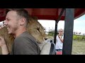 Верхом на ЛЬВЕ В АВТОБУС !!! Riding LEO TO THE BUS !!!