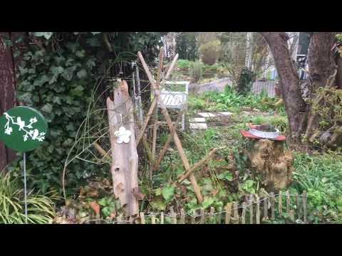 Video: Gärten für Wachteln pflanzen – Wachteln in Gartenräume locken