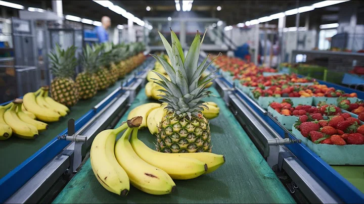 Bananas Mega Factory: Processing Millions of Bananas Using Modern Technology